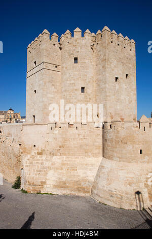 Torre de la Calahorra, Cordoba, Andalusia, Spagna, Europa Foto Stock