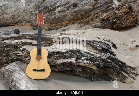 Six string chitarra in spiaggia di sabbia appoggiato su weathered driftwood Foto Stock