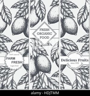 Limone banner verticale collezione. Limoni disegnati a mano in inchiostro illustrazione. Vettore illustrazione vintage. La linea grafica d'arte. Illustrazione Vettoriale