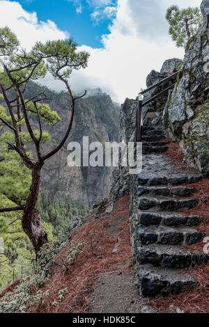 Cumbrecita montagne in "de la Caldera de Taburiente' parco nazionale con il suo caratteristico paesaggio. La foto mostra le scale rocciosa di un sentiero Foto Stock