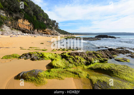Le formazioni rocciose coperte di alghe verdi vicino al Rock Pool, Aslings Beach, Eden, South Coast, Nuovo Galles del Sud, NSW, Australia Foto Stock