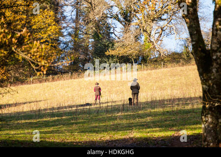 Donna con fucile su un fagiano sparare in Galles, con il cane e il gestore Foto Stock