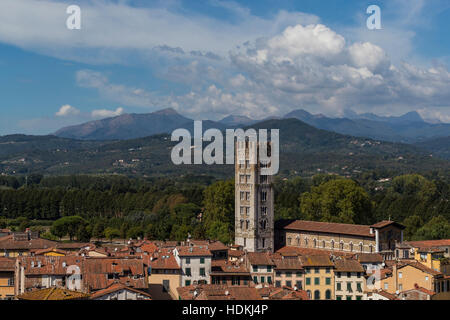 I tetti della città di Lucca dalla Torre Guinigi, Toscana Italia. Foto Stock