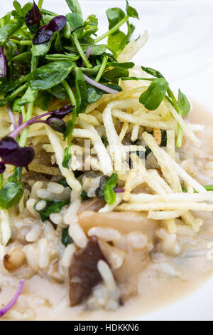 Close up di un selvaggio risotto ai funghi con fette sottili di patate fritte e un germoglio verde insalata come una decorazione Foto Stock