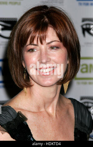 L'attrice Dana Delany arriva al XIX annuale degli American Cinematheque Award onorando attore Steve Martin in Beverly Hills, CA il 12 novembre 2004. Photo credit: Francesco Specker Foto Stock