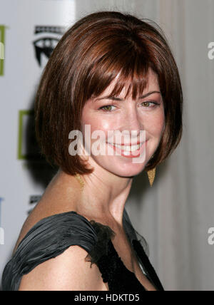 L'attrice Dana Delany arriva al XIX annuale degli American Cinematheque Award onorando attore Steve Martin in Beverly Hills, CA il 12 novembre 2004. Photo credit: Francesco Specker Foto Stock