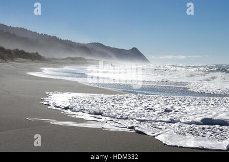 Bellissima spiaggia con drastici cambiamenti nel paesaggio e una nebbia o nebbia aggrappate alle montagne in Oregon Coast Foto Stock