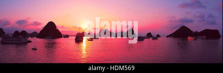 Bella viola il tramonto e le isole della roccia nella baia di Halong Vietnam del Sud-est asiatico. Panorama paesaggio. Junk crociera in barca per la Baia di Ha Long Foto Stock