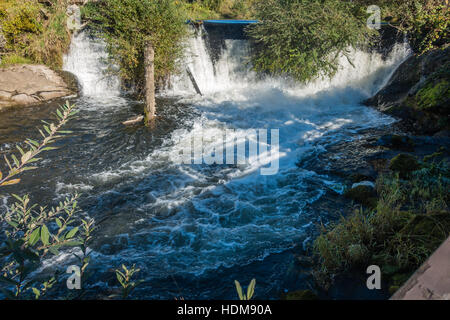 Closeup shot di una sezione di Tumwater cade con boccole appesa sopra l'acqua. Foto Stock