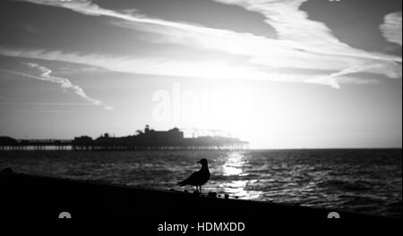 La spiaggia di Brighton e il Palace Pier seascape in bianco e nero Foto Stock