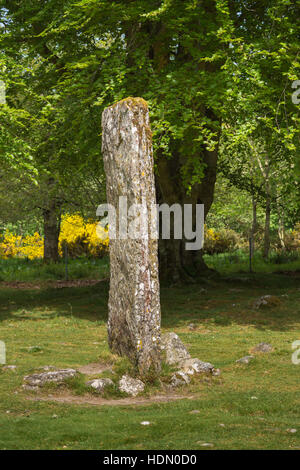 Slim menhir di clava preistorica Cairns. Foto Stock