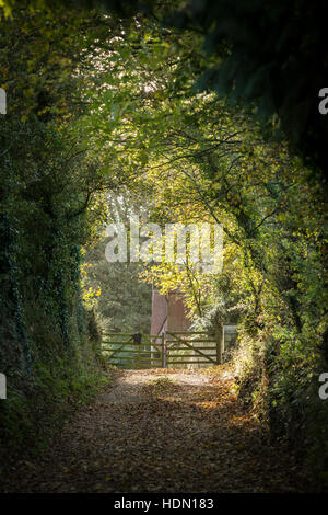 Vicolo del paese con la fattoria in legno porte alla fine in autunno con la luce del sole che filtra attraverso gli alberi Foto Stock