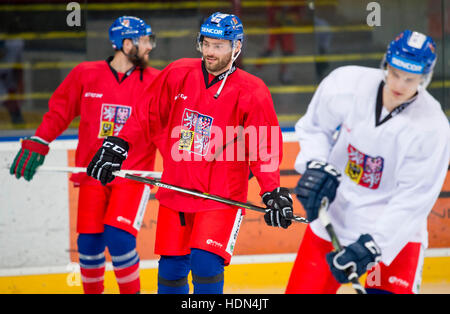 Praga, Repubblica Ceca. Xiii Dec, 2016. Nazionale Ceca giocatore di hockey Robert Kousal (centro) in azione durante la sessione di formazione tecnica per il canale una tazza nel torneo di Mosca e di Helsinki in Praga Repubblica Ceca, Dicembre 13, 2016. Il torneo verrà giocato su dicembre 15-18. I cechi si gioca la Finlandia a Helsinki il Giovedi, Dicembre 15. Poi, si sposterà a Mosca e a riprodurre la Russia il venerdì. Sabato suoneranno in Svezia. © Vit Simanek/CTK foto/Alamy Live News Foto Stock