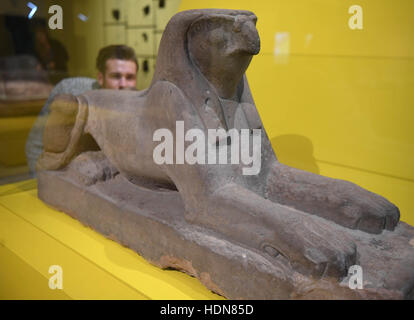 Karlsruhe, Germania. Xiii Dec, 2016. Una sfinge egizia statua (1279-1213 BCE) nella Baden Museo di Stato di Karlsruhe in Germania, 13 dicembre 2016. Il museo della "Ramses: righello divina sul Nilo' mostra apre il 17 dicembre 2016 e dura fino al 18 giugno 2017. Foto: Uli Deck/dpa/Alamy Live News Foto Stock