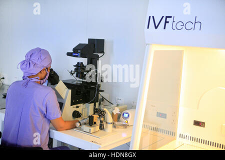 Anand, Gujarat, India. Xvi Nov, 2016. 16 nov 2016 : Anand - INDIA.un medico del lavoro nel laboratorio Fertization Akanksha in ospedale e centro di ricerca in Gujarat. © Subhash Sharma/ZUMA filo/Alamy Live News Foto Stock