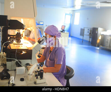 Anand, Gujarat, India. Xvi Nov, 2016. 16 nov 2016 : Anand - INDIA.un medico del lavoro nel laboratorio Fertization Akanksha in ospedale e centro di ricerca in Gujarat. © Subhash Sharma/ZUMA filo/Alamy Live News Foto Stock