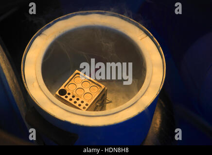 Anand, Gujarat, India. Xvi Nov, 2016. 16 nov 2016 : Anand - INDIA.un medico del lavoro nel laboratorio Fertization Akanksha in ospedale e centro di ricerca in Gujarat. © Subhash Sharma/ZUMA filo/Alamy Live News Foto Stock