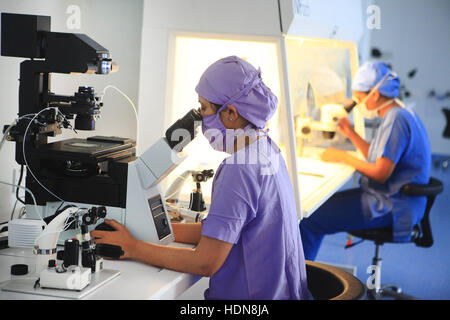 Anand, Gujarat, India. Xvi Nov, 2016. 16 nov 2016 : Anand - INDIA.un medico del lavoro nel laboratorio Fertization Akanksha in ospedale e centro di ricerca in Gujarat. © Subhash Sharma/ZUMA filo/Alamy Live News Foto Stock