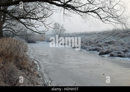 Congelati creek nella Finlandia meridionale a dicembre. Foto Stock