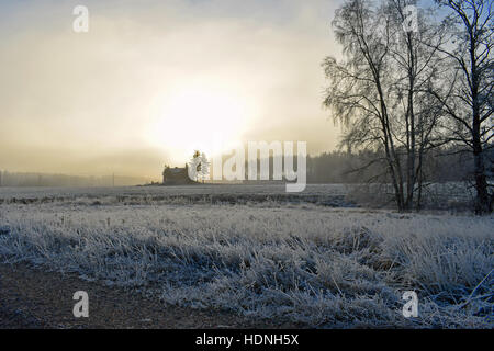 Bellissimo paesaggio freddo con erba ghiacciata, casa deserta e sole che splende attraverso nuvole e nebbia. Foto Stock