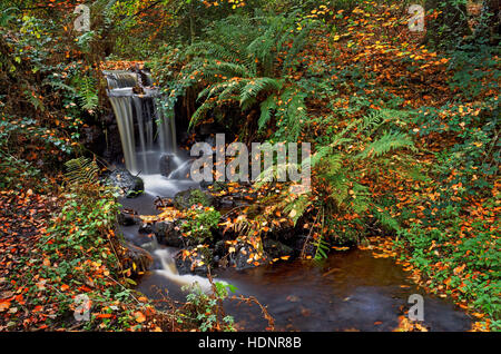 UK,South Yorkshire,Sheffield,Rivelin Valley,superiore ceduo ruota in autunno Foto Stock