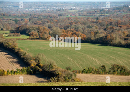 Una vista di campi e boschi nel tardo autunno con alcuni alberi colorati dal Berkshire Downs verso Newbury Foto Stock