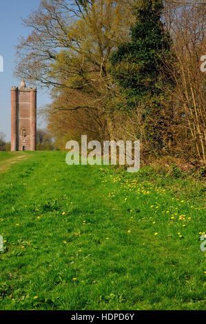 King Alfred's Tower (noto anche come Stourton Torre). Foto Stock