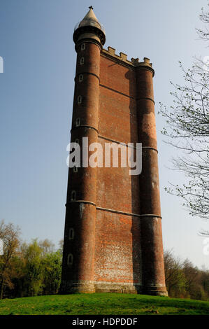 King Alfred's Tower (noto anche come Stourton Torre). Foto Stock