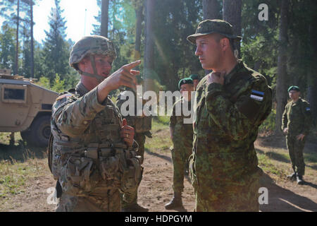 Stati Uniti e soldati estone di discutere le strategie prima di un missile e mortaio live-fire esercizio per il funzionamento Atlantic risolvere presso la Central Area Formazione Agosto 22, 2015 vicino a Tapa, Estonia. Foto Stock