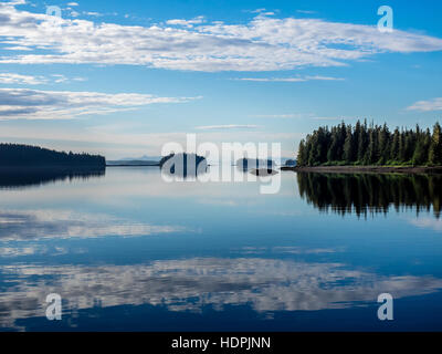 Una tranquilla Vista panoramica della foresta pluviale Tongass da una barca. Foto Stock