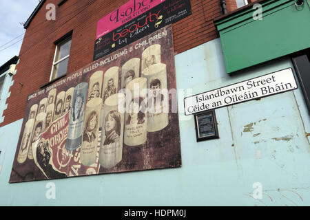 Belfast cade Rd murale repubblicana,ordine civile,Islandbawn street Foto Stock