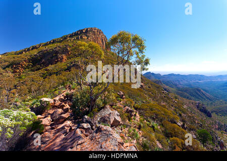 Paesaggio outback Flinders Ranges Australia del Sud paesaggi australiani Wilpena Pound St Mary Peak escursione sentiero escursionistico Foto Stock