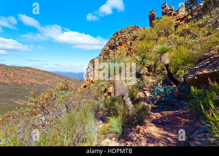 Paesaggio outback Flinders Ranges Australia del Sud paesaggi australiani Wilpena Pound St Mary Peak escursione sentiero escursionistico Foto Stock