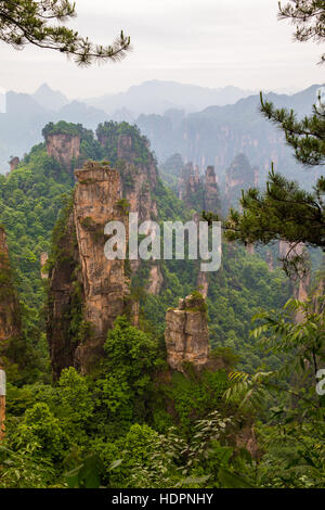 Paesaggio di montagna di Zhangjiajie parco nazionale,Cina Foto Stock