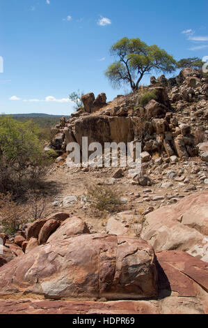 Deserto con alberi e rocce nel territorio della tribù Hadzabe, Lago Eyasi, Tanzania Foto Stock