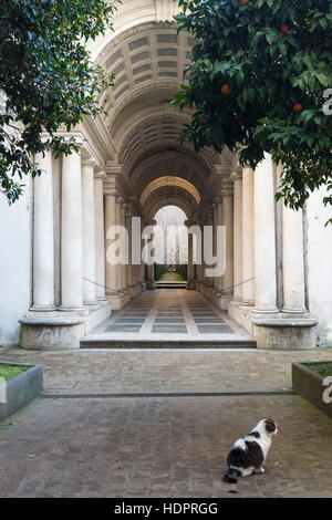 Roma. L'Italia. Trompe-l'oeil prospettiva forzata colonnade gallery da Francesco Borromini XVII C, nel cortile di Palazzo Spada. Foto Stock