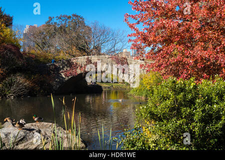 Lo stagno e Gapstow Bridge, al Central Park di New York Foto Stock