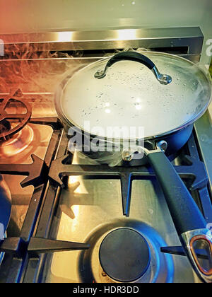 Pentola per la cottura a vapore sul piano cottura residenziale Foto Stock