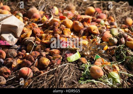 Un grande palo di composto durante il lavoro nel cortile di una casa nel Midwest Foto Stock