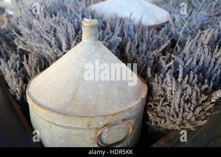 Fiori di lavanda e contenitore ancora sul display in distilleria di lavanda vicino saignon Luberon Provence Foto Stock