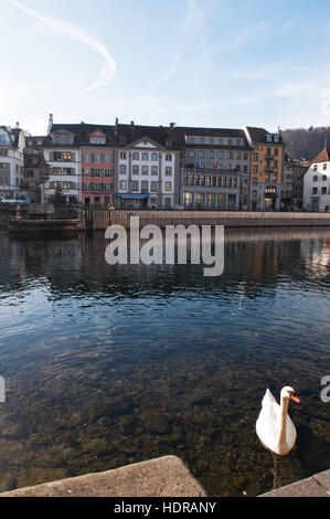 La Svizzera, Europa: un cigno nel fiume Reuss e lo skyline di Lucerna, la città medievale famosa per le sue coperte ponti in legno Foto Stock