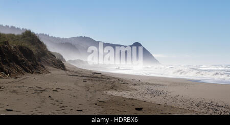 Bellissima spiaggia con drastici cambiamenti nel paesaggio e una nebbia o nebbia aggrappate alle montagne in Oregon Coast Foto Stock