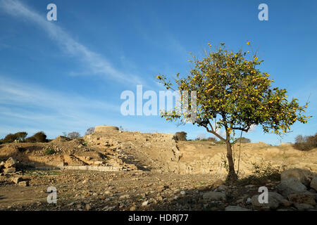 Antico anfiteatro ellenistico in Paphos, Cipro Foto Stock