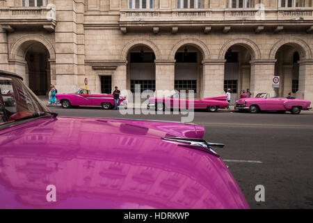 Caddillac rosa e altri open top rosa cabriolet degli anni cinquanta vetture americane su Calle Prado in attesa per i clienti di prendere un tour, La Havana, Cuba. Foto Stock