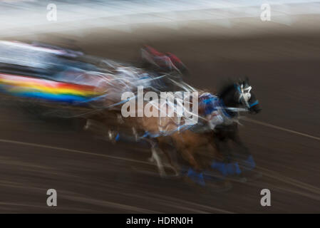 Sfumatura di colore e movimento di una gara chuckwagon, Lakeview Calgary Stampede evento; Calgary, Alberta, Canada Foto Stock