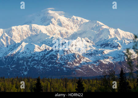 Denali, fotografati da miglio 135 dei parchi autostrada vicino il punto di vista di Denali Sud resto zona di arresto centrale, Ak e Ak, STATI UNITI D'AMERICA Foto Stock