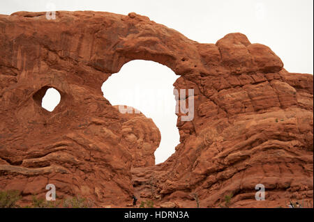 Rosso doppio arco di pietra arenaria di insolita formata da erosione di vento e pioggia. Cielo grigio Sfondo con fogliame nativa in primo piano Foto Stock