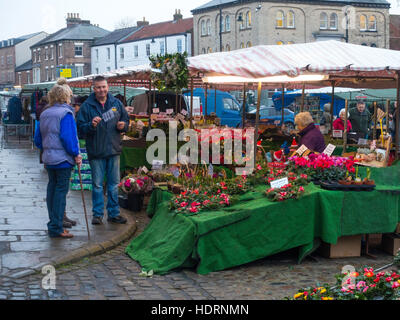 Pressione di stallo di fiori con un display di Natale agrifoglio corone di fiori e piante in vaso in Thirsk North Yorkshire Foto Stock