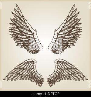 Disegnata a mano vettore illustrazione vintage - naturalistici ali spiegate sketch. Illustrazione Vettoriale
