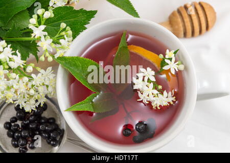 Tazza di bacche di sambuco freschi tè con frutti di bosco e miele Foto Stock